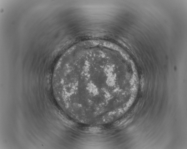 X0000088180462200706121655