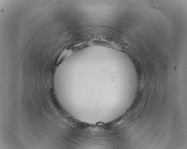 X0000088180464200706121655