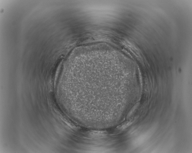 X0000088180465200706121655