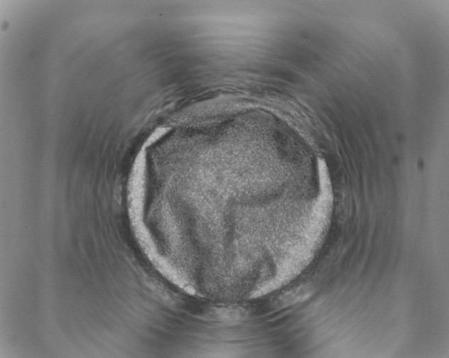 X0000088180466200706121655