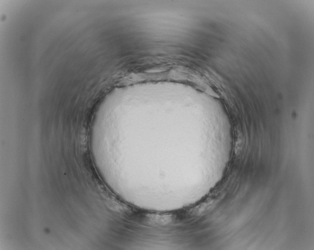 X0000088180469200706121655