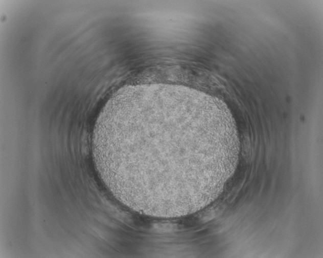 X0000088180470200706121655