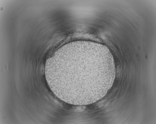 X0000088180474200706121655