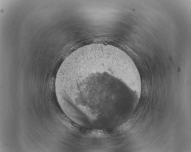 X0000088180475200706121655