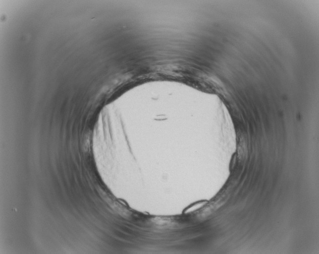 X0000088180477200706121655