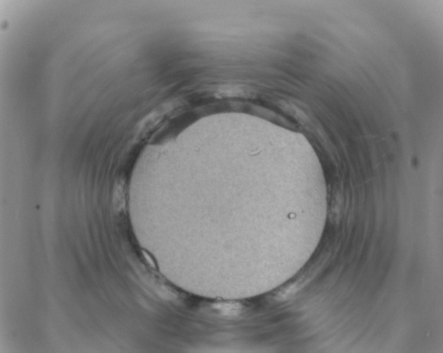 X0000088180478200706121655