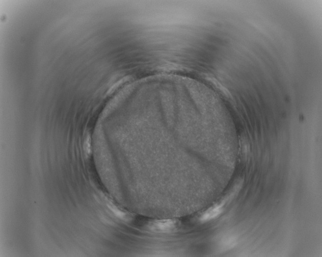 X0000088180479200706121655