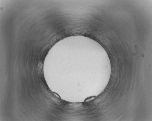 X0000088180480200706121655