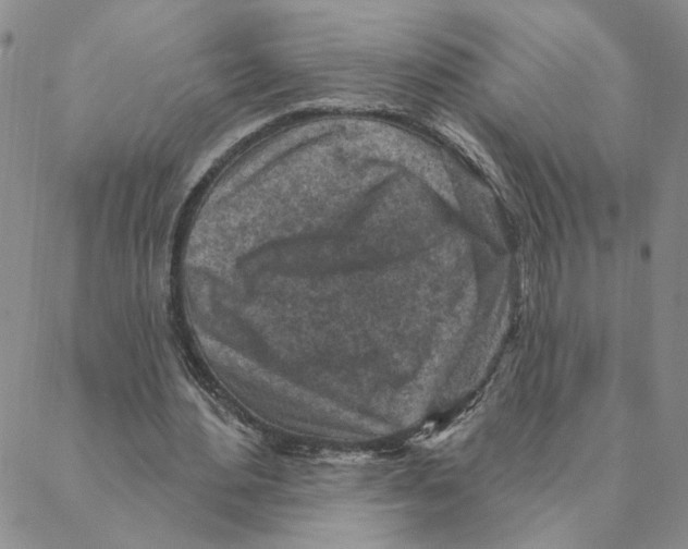 X0000088180484200706121655