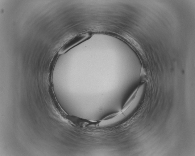 X0000088180485200706121655