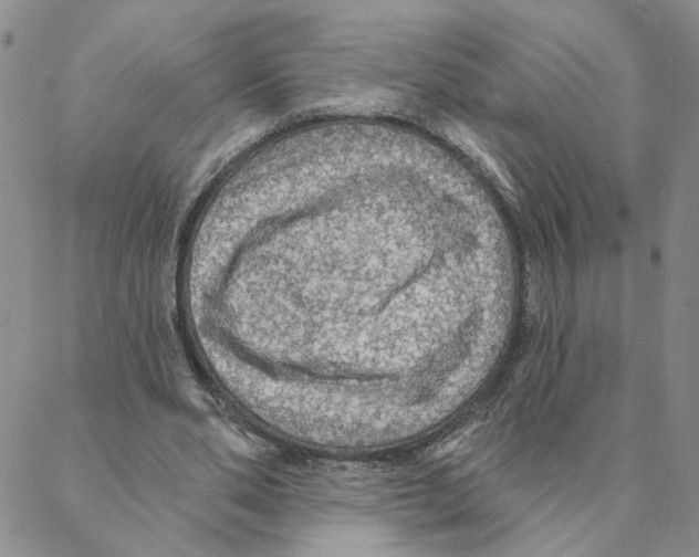 X0000088180486200706121655