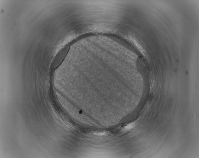 X0000088180488200706121654