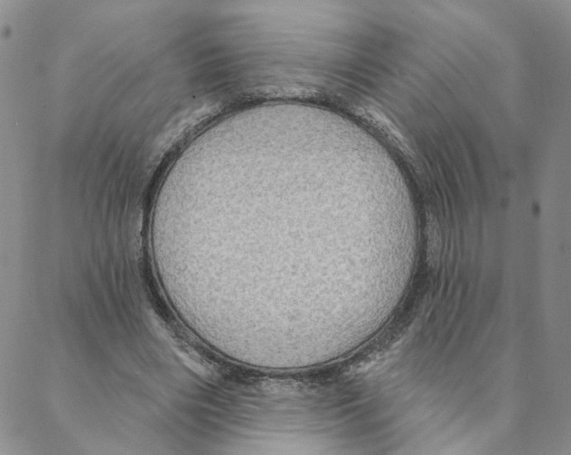 X0000088180490200706121654