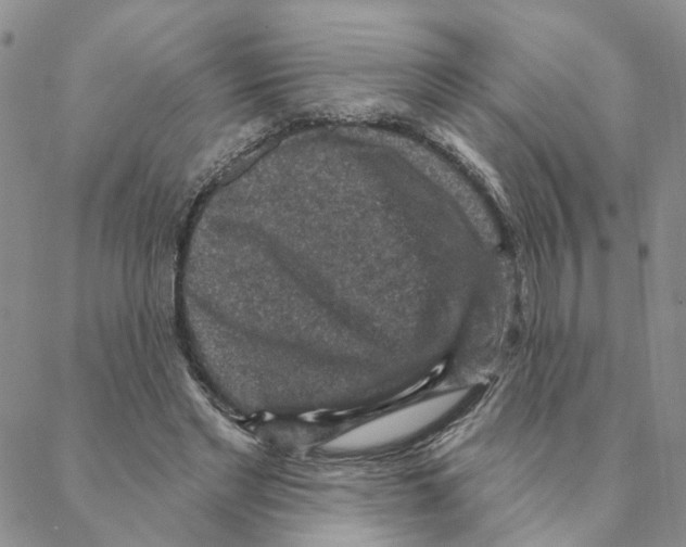 X0000088180493200706121654