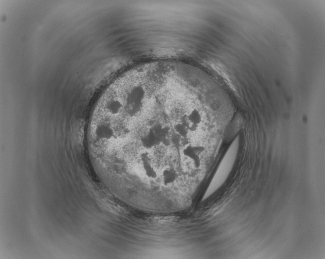 X0000088180495200706121654