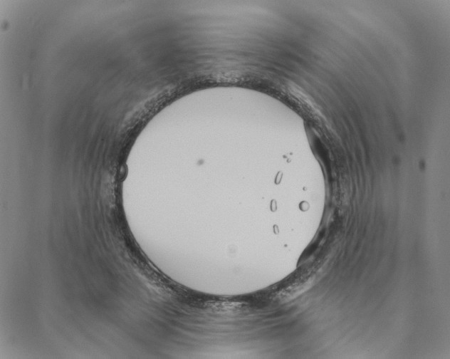 X0000088180497200706121654