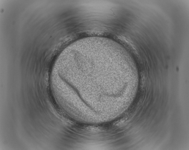 X0000088180498200706121654