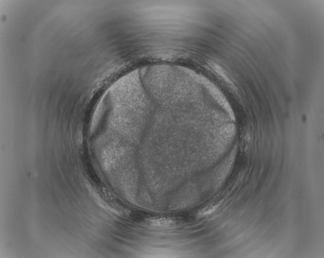 X0000088180500200706121654