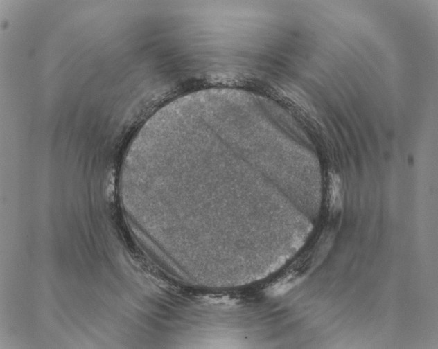 X0000088180502200706121654