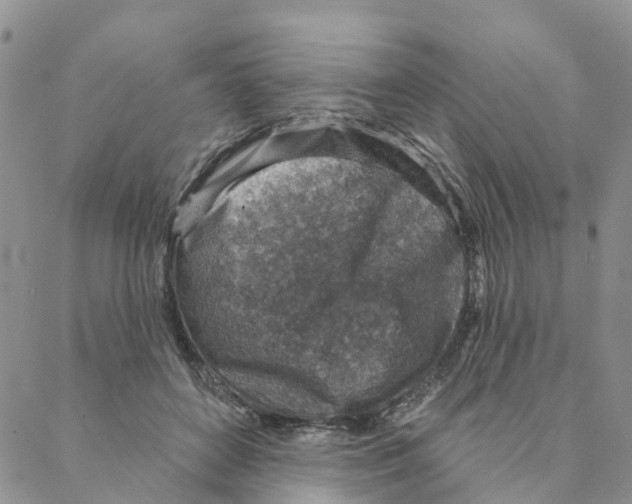 X0000088180504200706121654