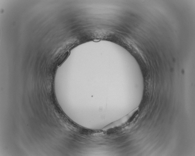 X0000088180505200706121654