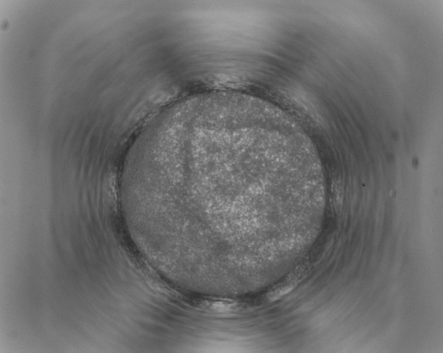 X0000088180506200706121654