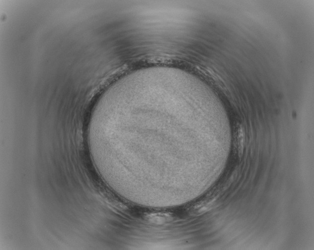 X0000088180508200706121654