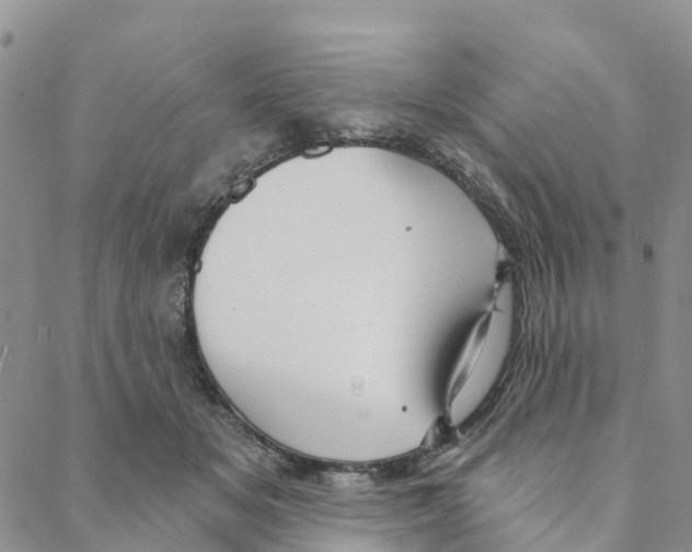 X0000088180509200706121654