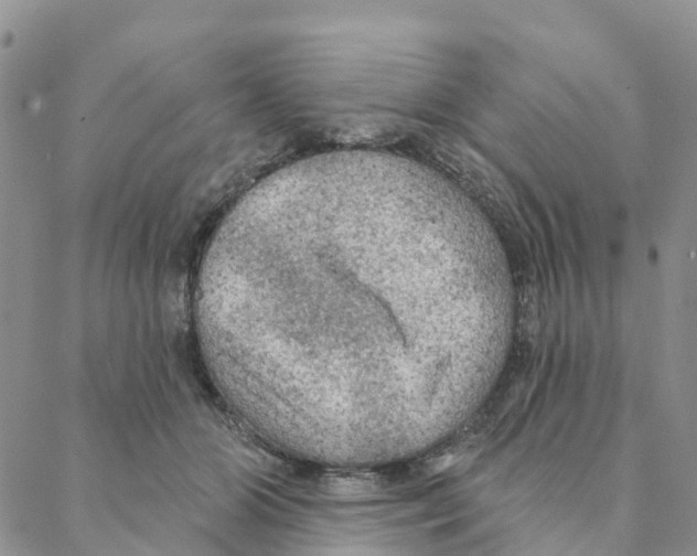 X0000088180510200706121654