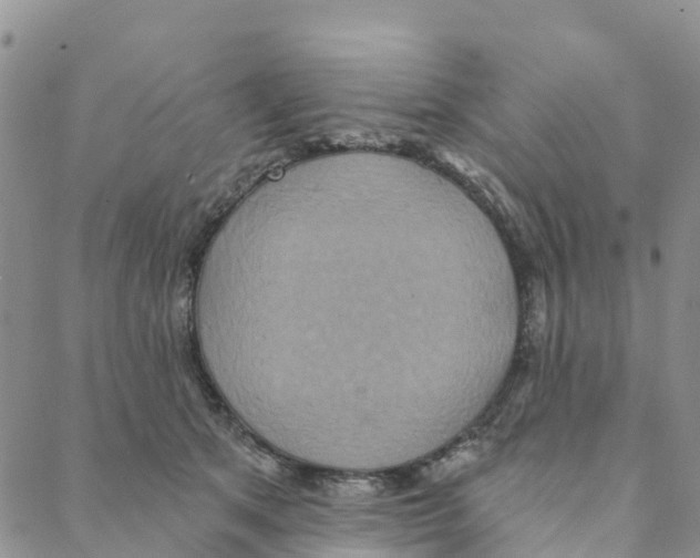 X0000088180513200706121654