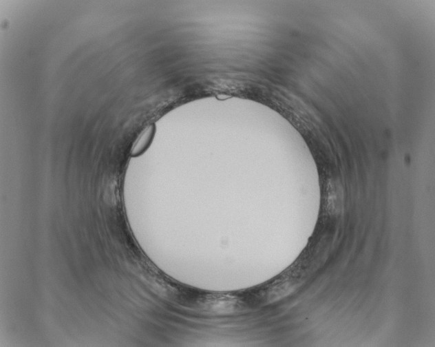 X0000088180514200706121654