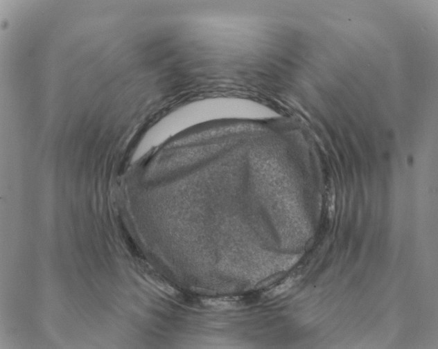 X0000088180516200706121654