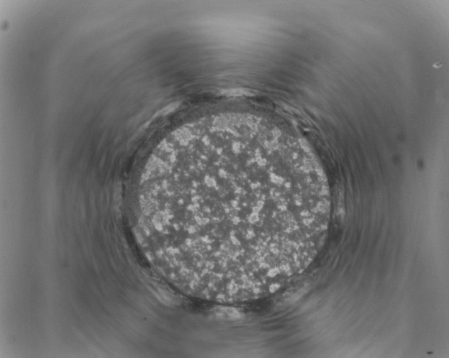 X0000088180519200706121654