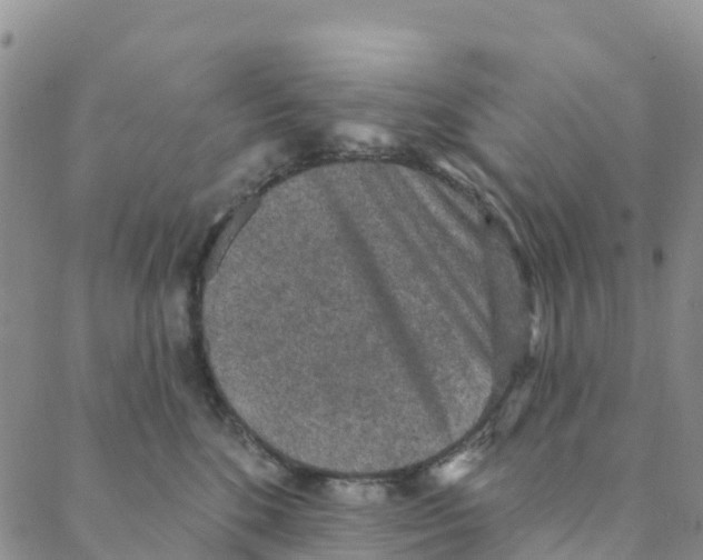 X0000088180520200706121654