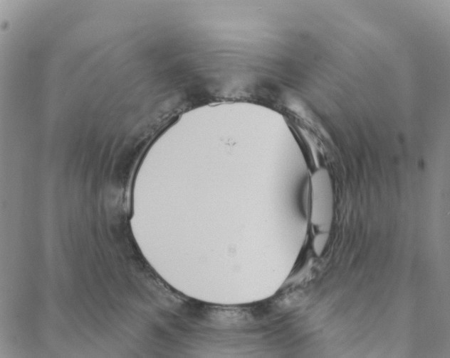 X0000088180521200706121654