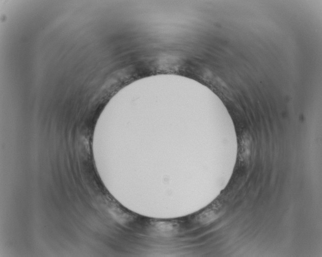 X0000088180522200706121654