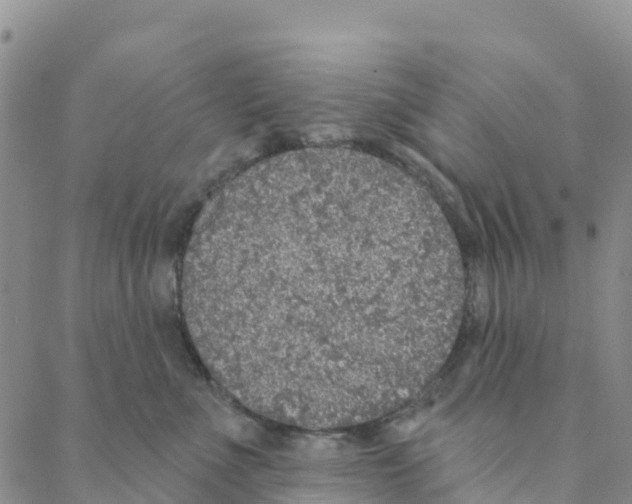 X0000088180523200706121654