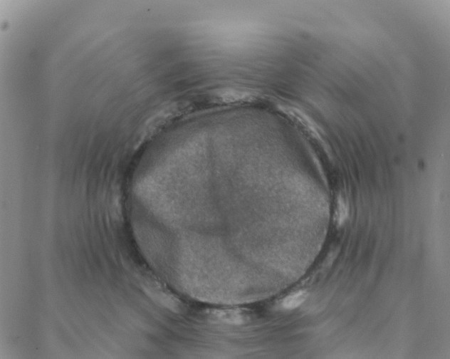 X0000088180524200706121654