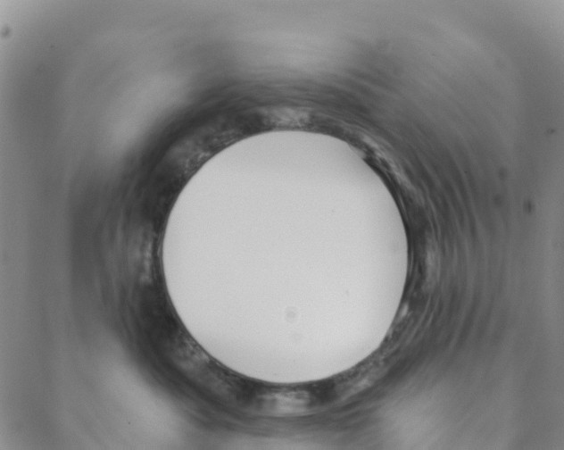 X0000088180525200706121654