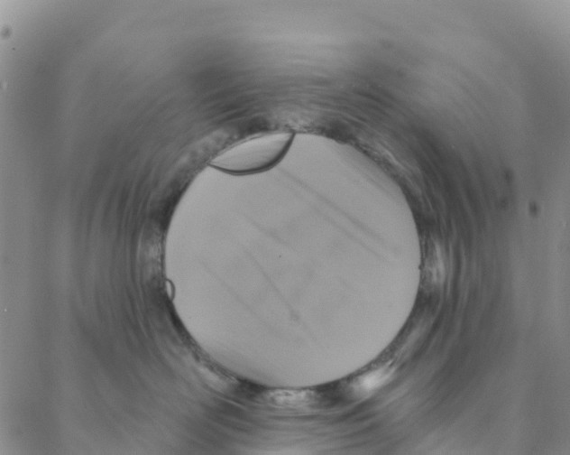 X0000088180526200706121654