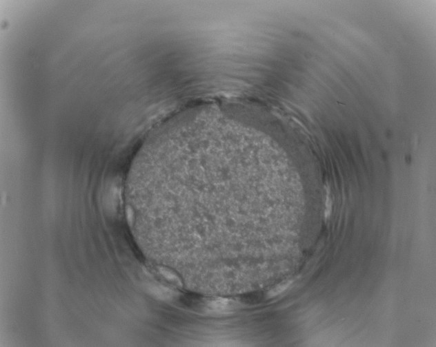 X0000088180527200706121654