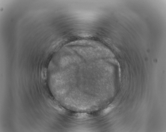 X0000088180528200706121654