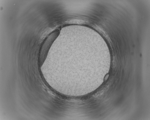 X0000088180529200706121653