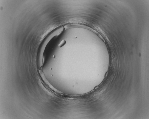 X0000088180530200706121653