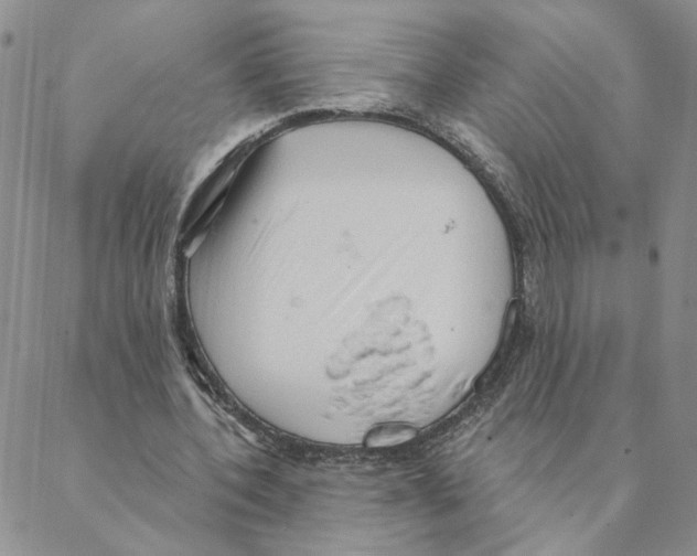 X0000088180532200706121653