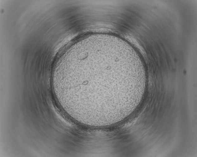 X0000088180533200706121653