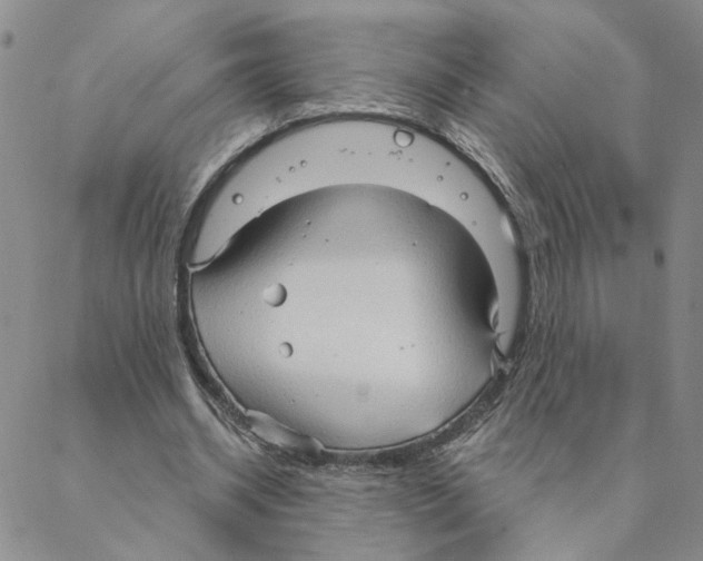 X0000088180534200706121653