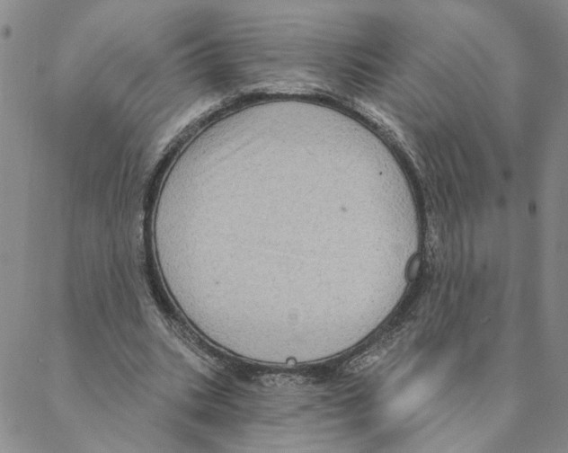 X0000088180535200706121653