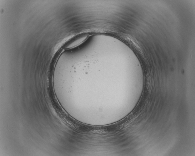 X0000088180536200706121653