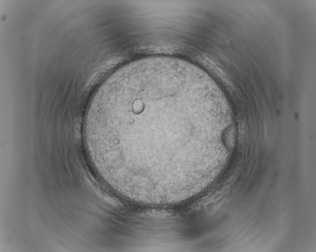 X0000088180537200706121653